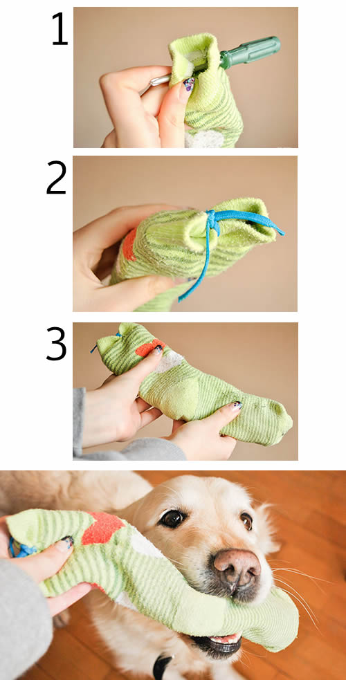 Como fazer um brinquedo para o seu cachorro