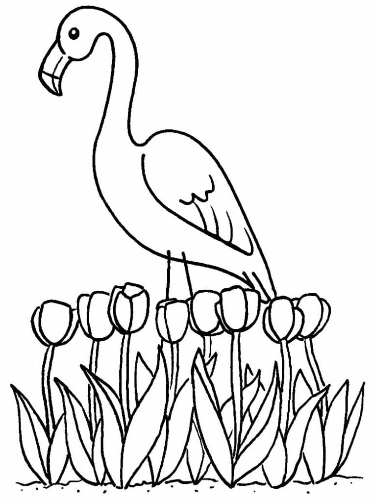 30 Desenhos Para Colorir De Flamingo Como Fazer Em Casa