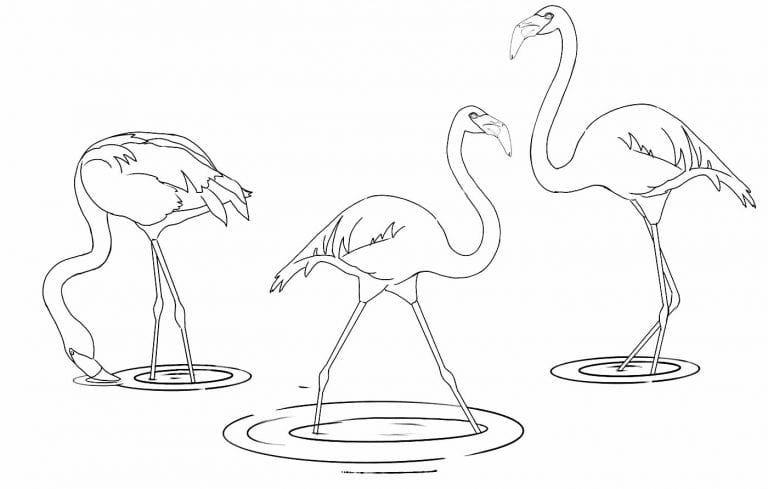 Desenhos Para Colorir De Flamingo Como Fazer Em Casa