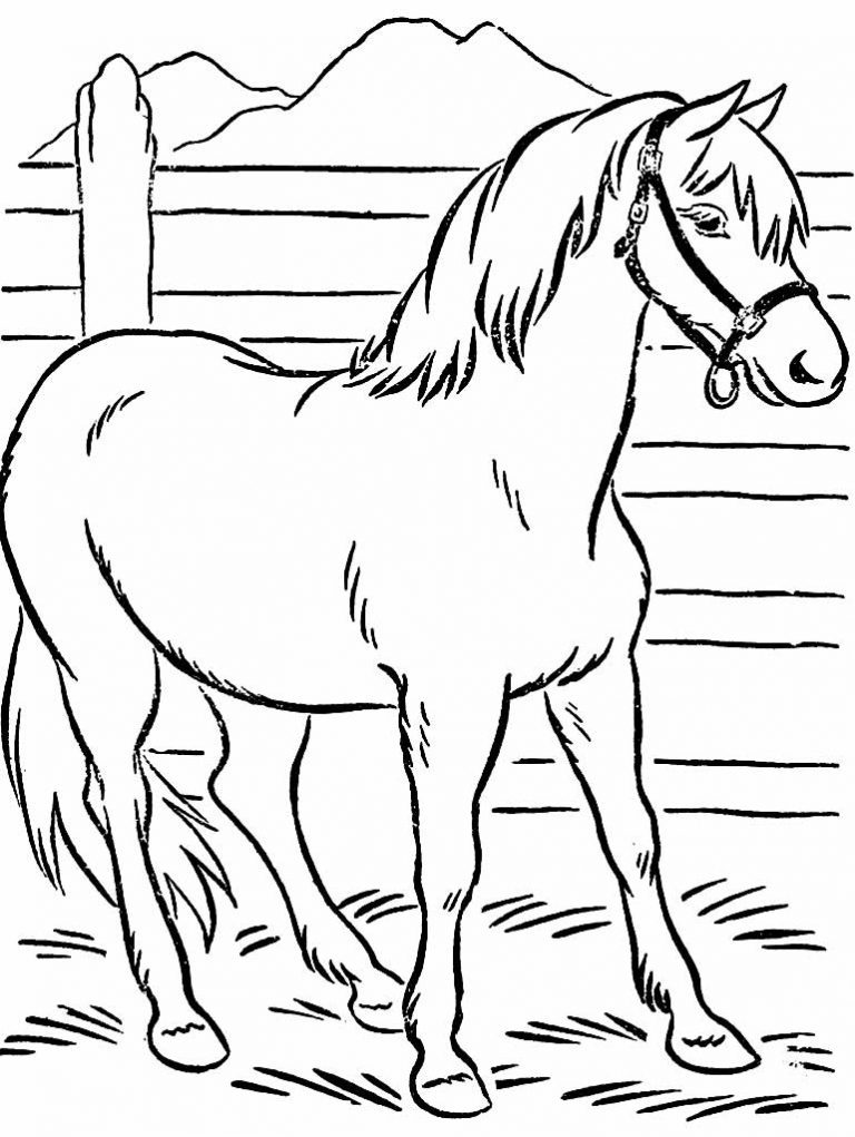 50 Desenhos Para Colorir De Cavalos Como Fazer Em Casa