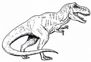 Desenhos De T Rex Para Colorir E Imprimir Como Fazer Em Casa