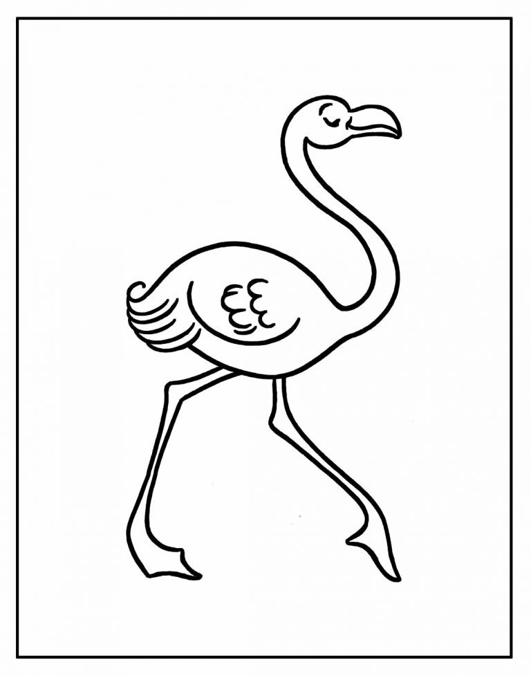 Desenhos Para Colorir De Flamingo Como Fazer Em Casa