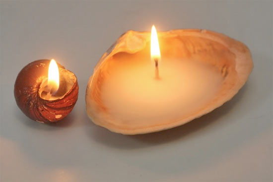 Velas feitas de ostras passo a passo