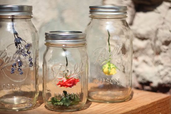 Decoração com florezinhas e potes de vidro para o jardim da casa
