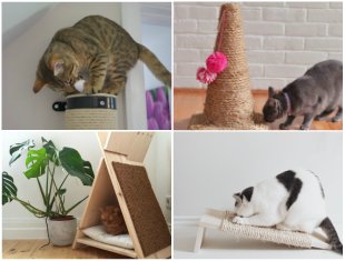 10 Arranhadores Caseiros para Gatos passo a passo