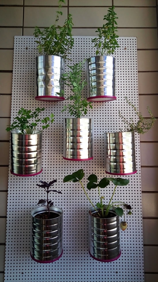 Plante suas plantinhas em latas
