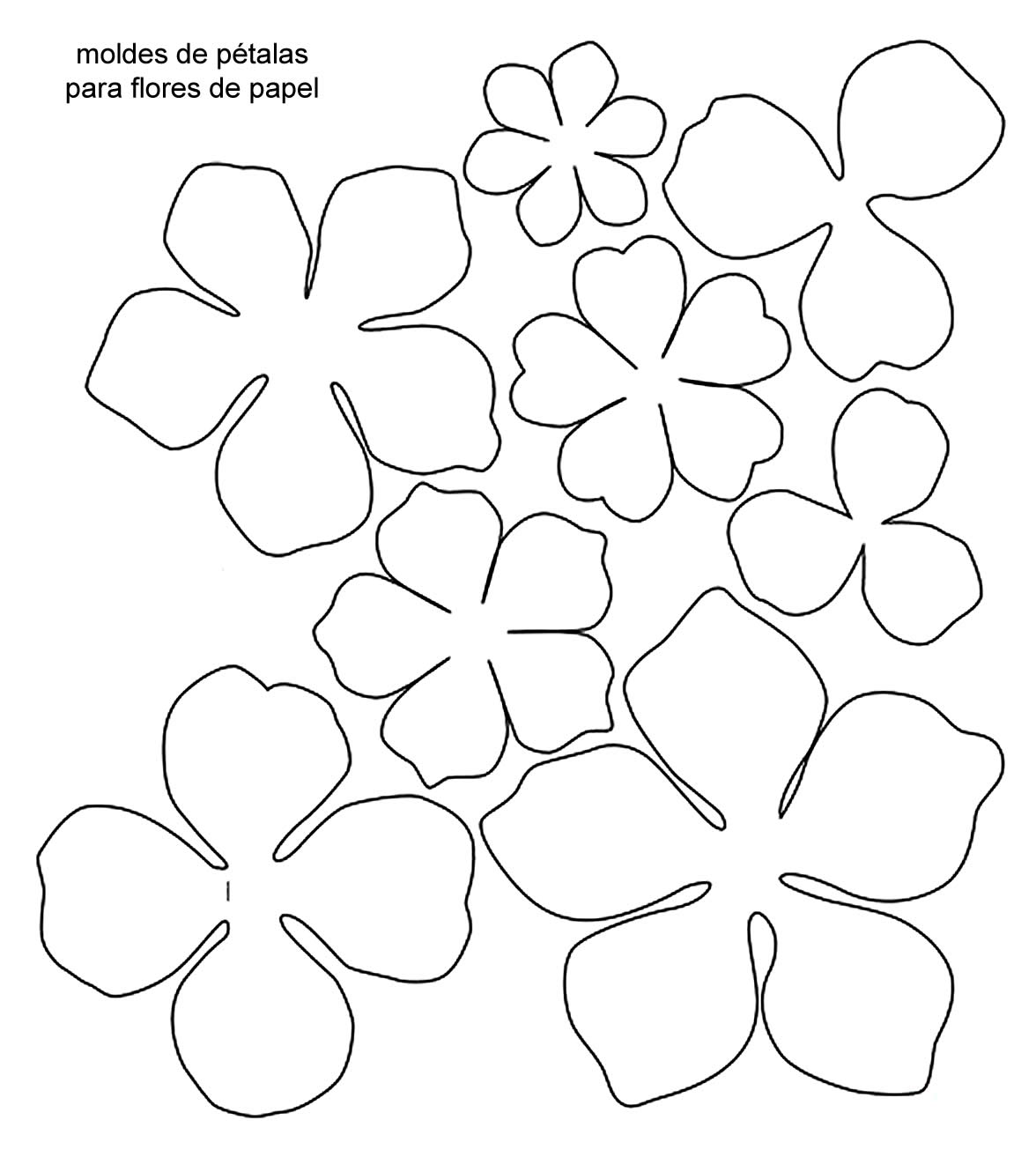 Molde Das Petalas De Flores De Papel - Flores de Papel