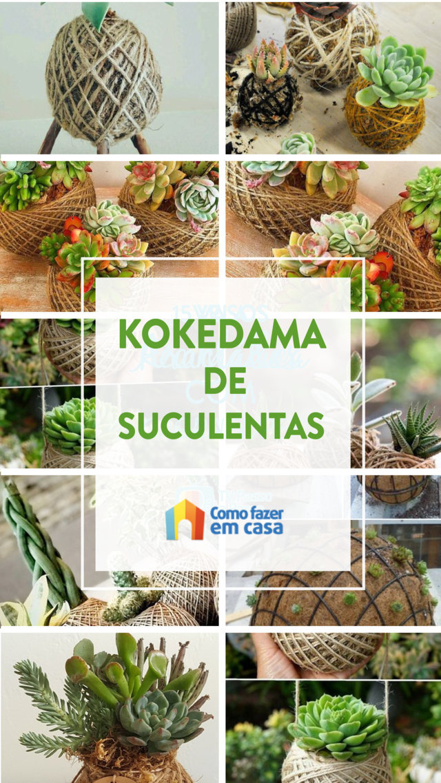 Como Fazer Kokedama Com Suculentas Como Fazer Em Casa