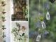 Ideias para decorar com plantas penduradas
