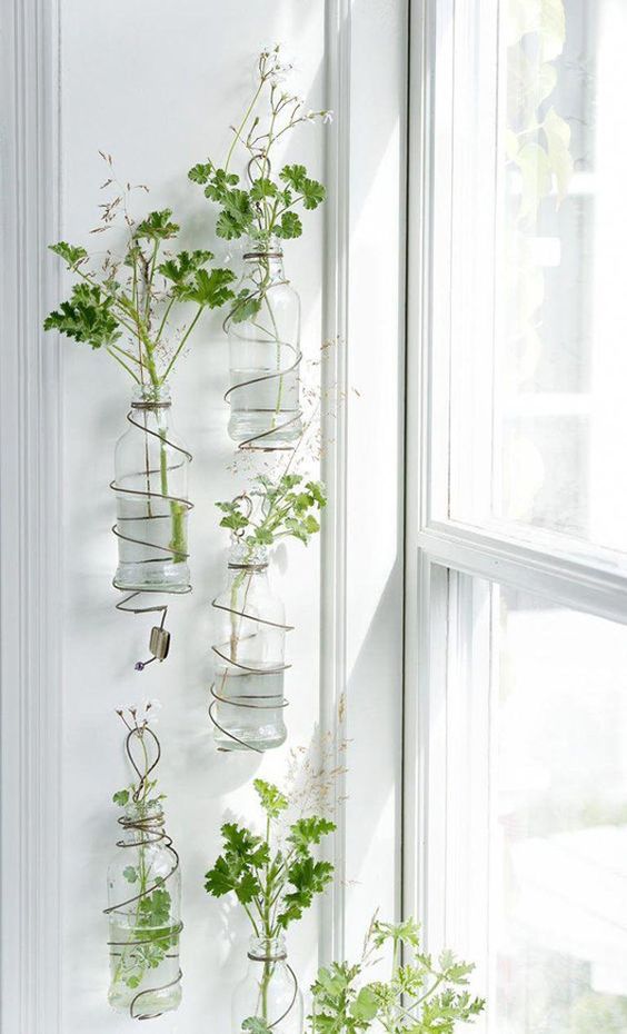 decoração com plantas penduradas