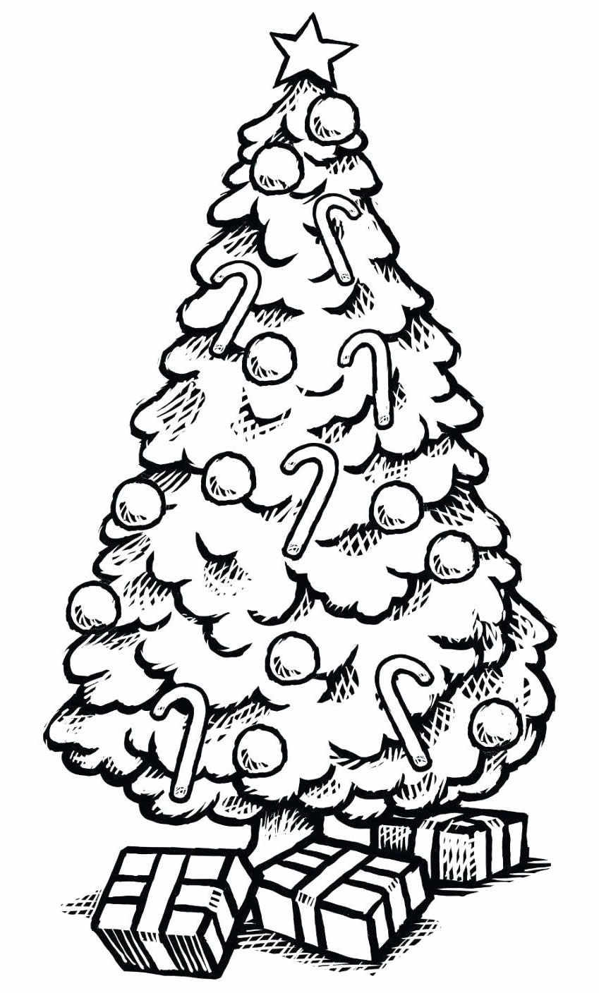 Desenho de Árvore de Natal para pintar