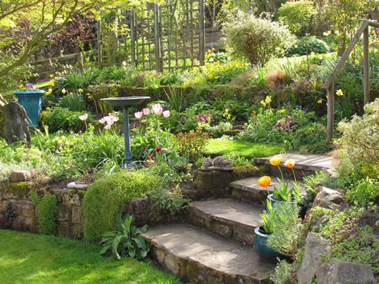 Escada com pedras para jardim