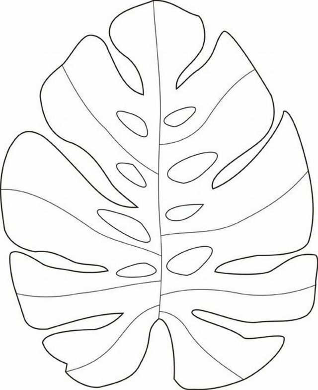 Moldes de folhas costela-de-adão