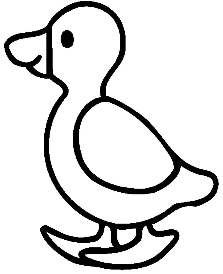 Desenho de pato para colorir