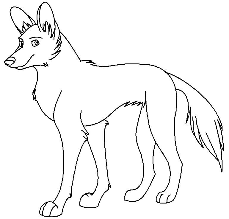 Desenho de lobo para colorir