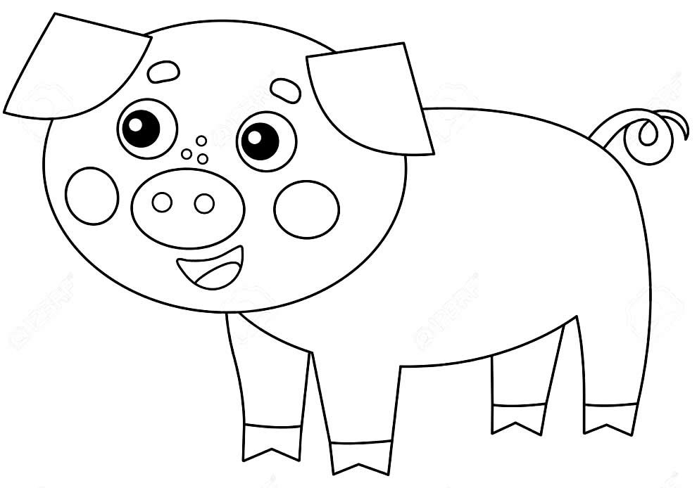 Desenho de porquinho para colorir