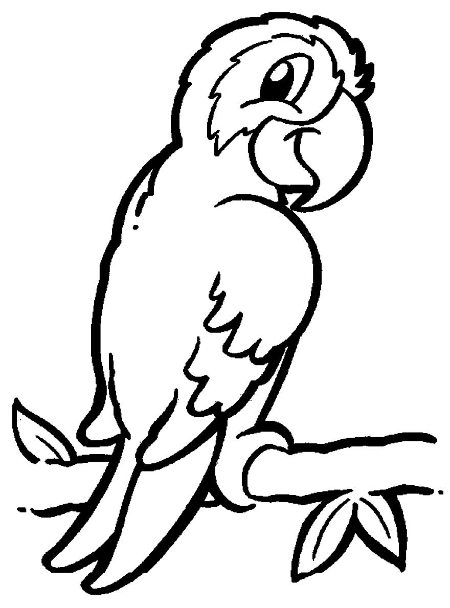 Desenho de papagaio para colorir