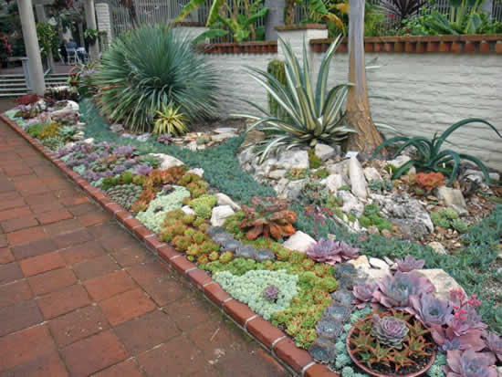 Inspirações para fazer jardim de suculentas