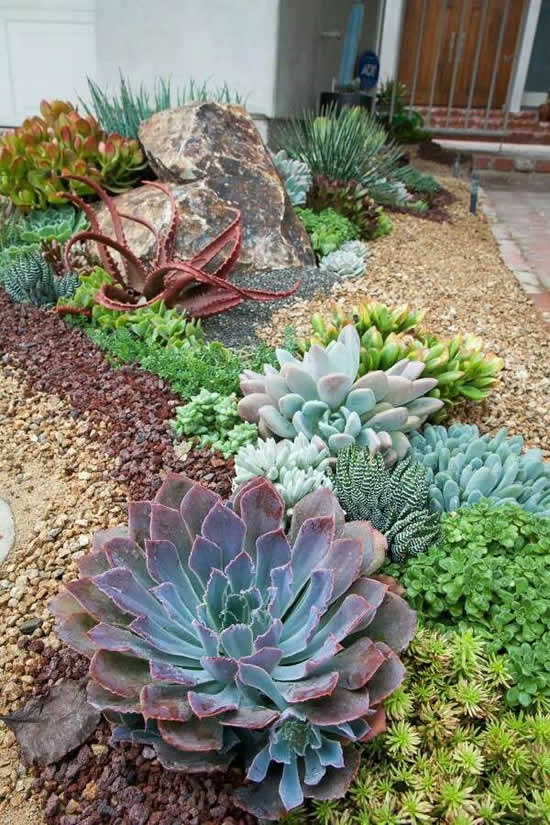 Inspirações para fazer jardim de suculentas