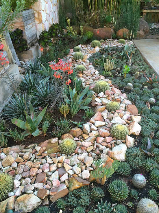 Jardim de suculentas para inspiração