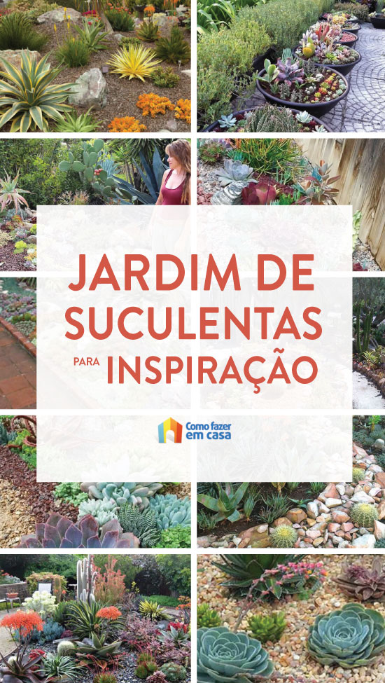 10 inspirações para fazer um jardim de suculentas