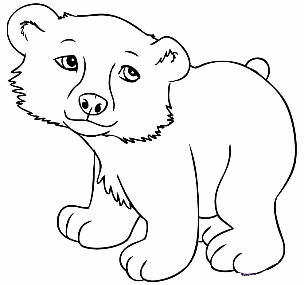 Desenho para colorir de urso