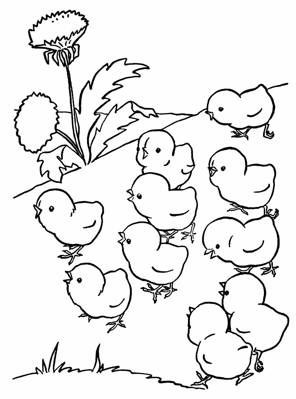 Desenho de animais da fazenda para colorir