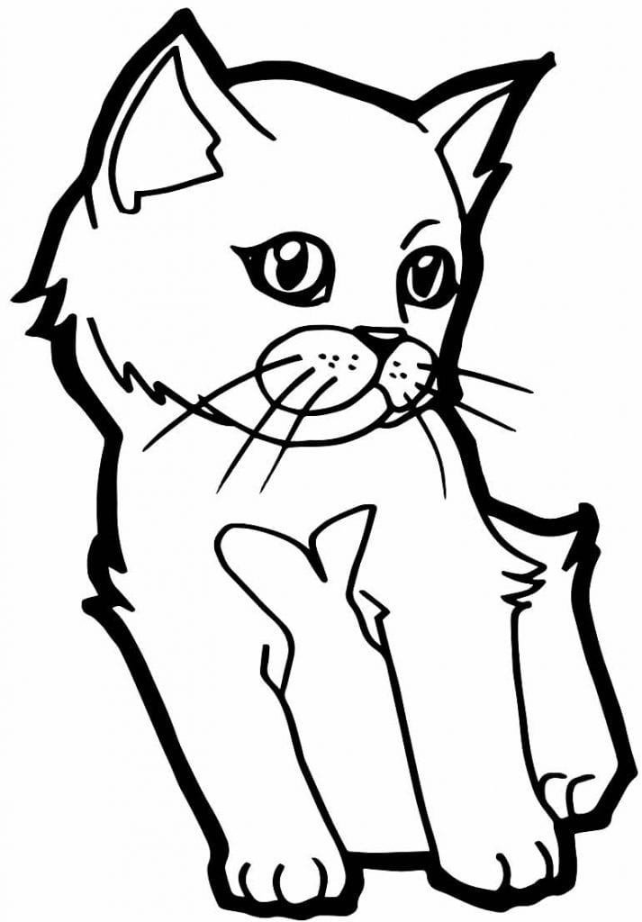 50+ Desenhos de Gatinhos para colorir - Como fazer em casa