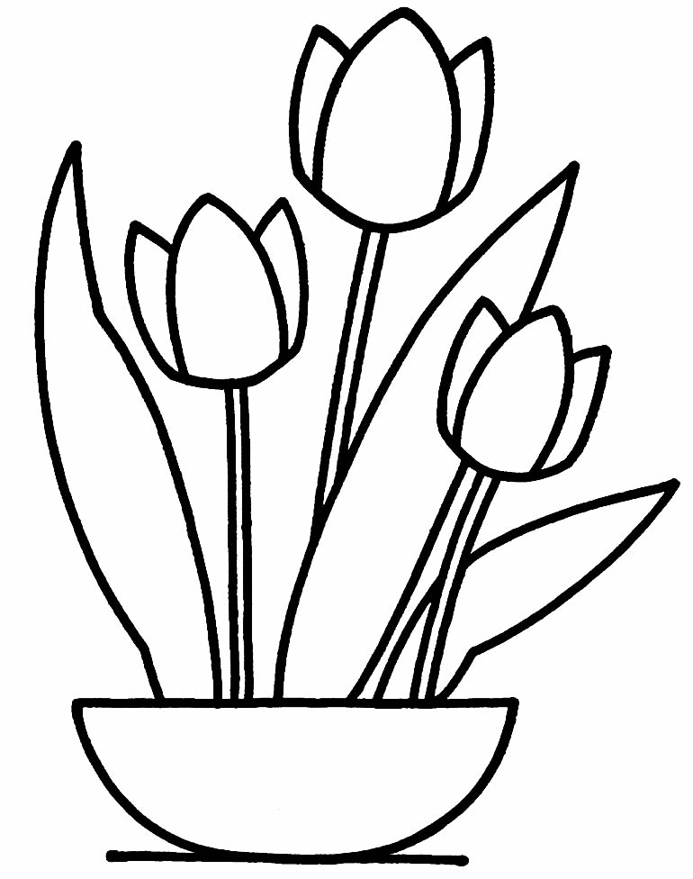 Imagem de tulipas para pintar