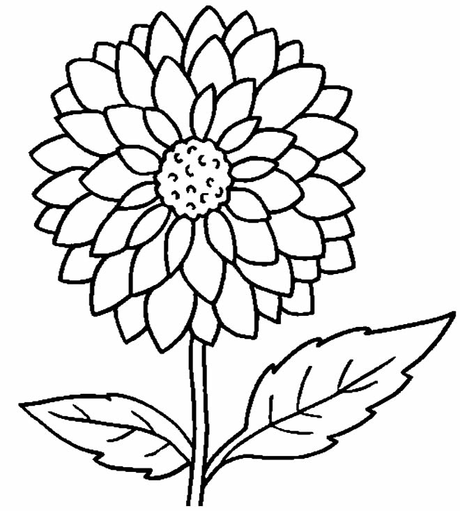 50 Desenhos de Flores para Colorir/Pintar em Casa!  Flores para colorir,  Desenhos de flores, Modelos de flor de papel