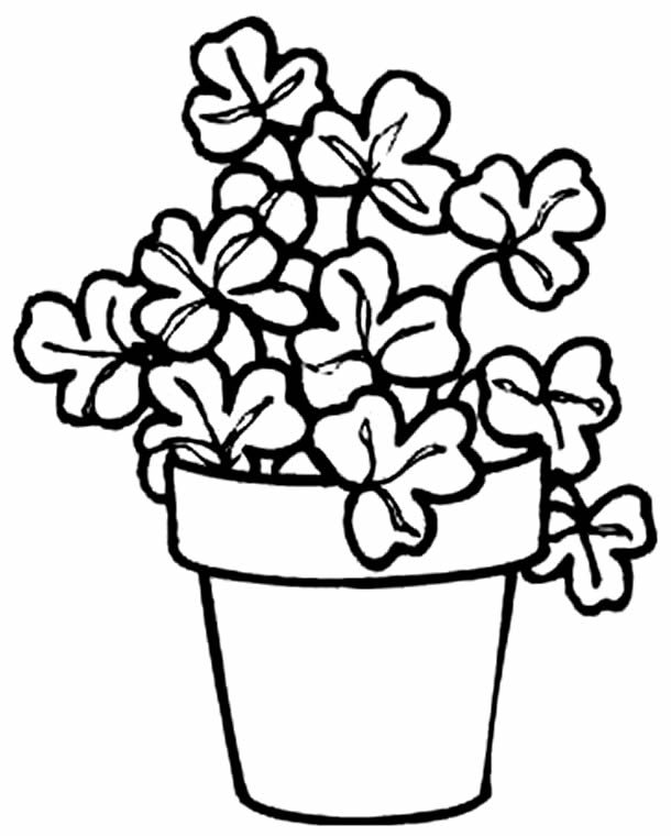 Desenho lindo de flores para colorir