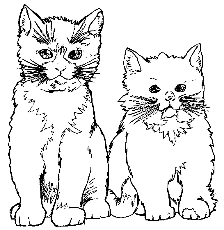 Desenho de gatinhos