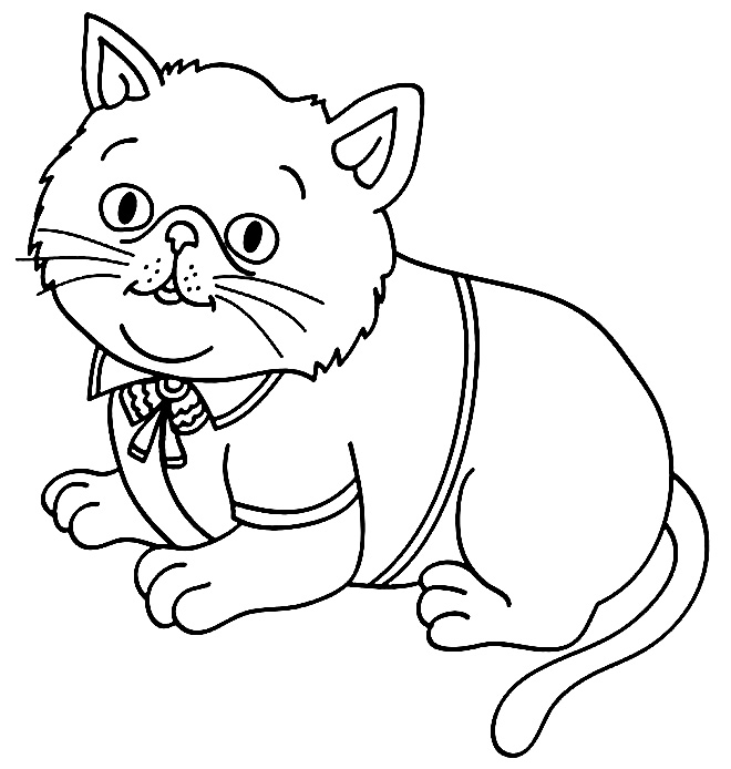 Imagem de gatinho para colorir