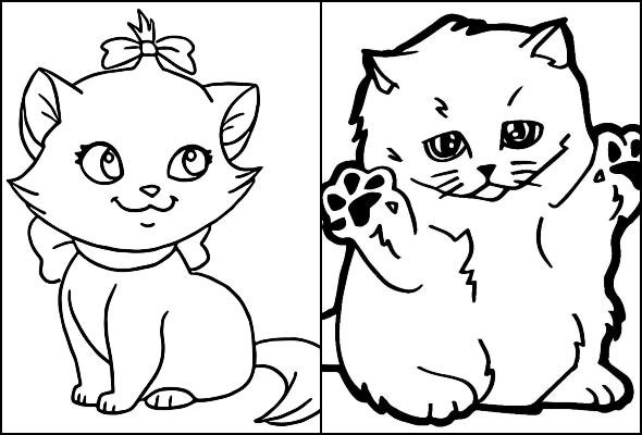 Desenhos de gatinhos para colorir
