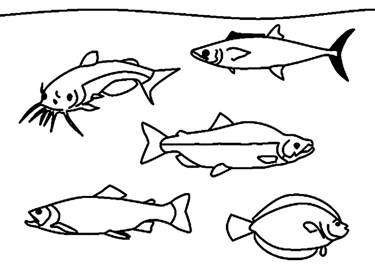 Desenho de peixes para pintar