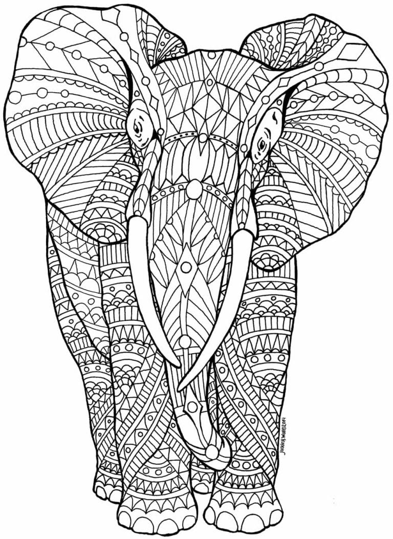 Desenhos Para Colorir De Elefante Como Fazer Em Casa