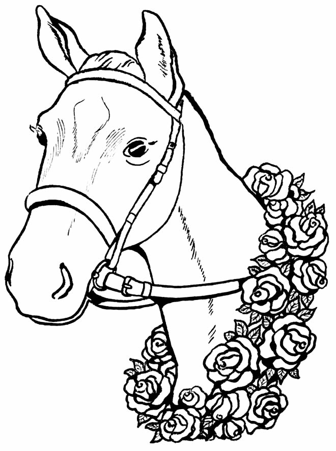 50+ Desenhos para colorir de Cavalos - Como fazer em casa