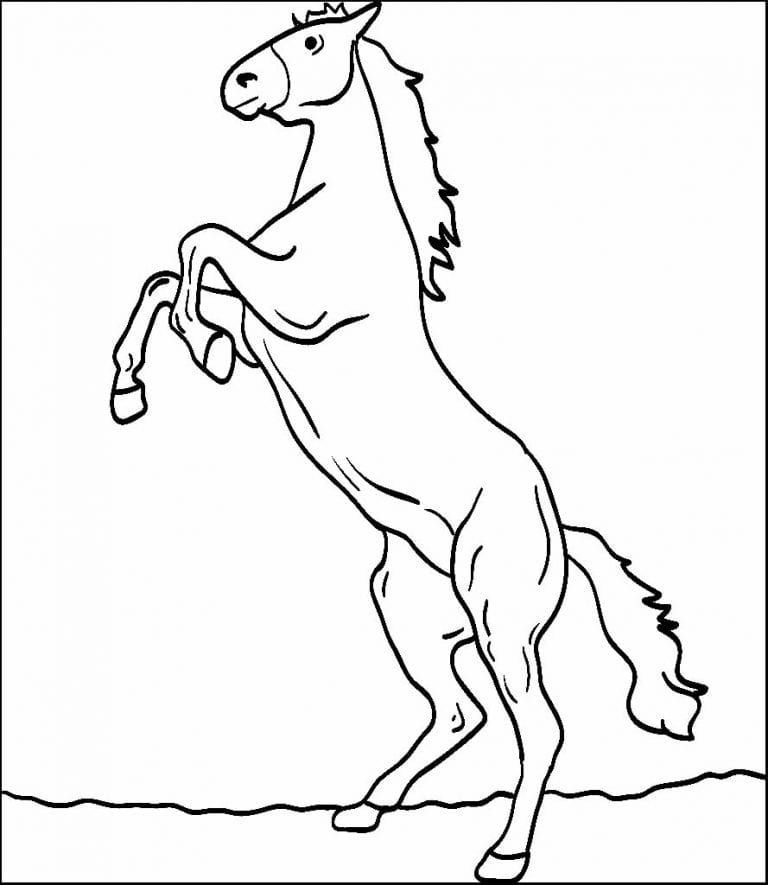 50+ Desenhos para colorir de Cavalos - Como fazer em casa