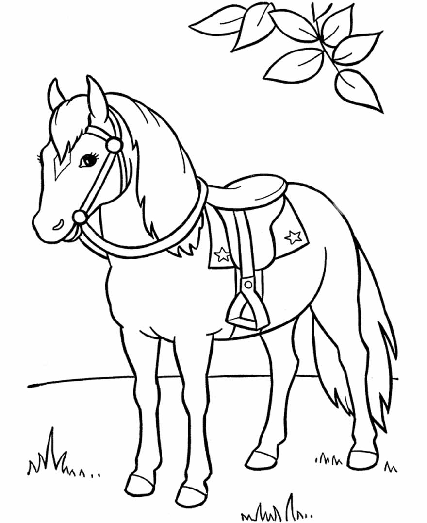 Desenho de Cavalo para colorir