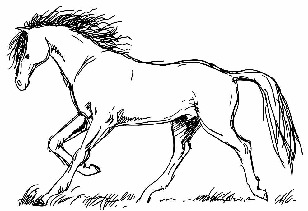 Desenho lindo de Cavalo para pintar