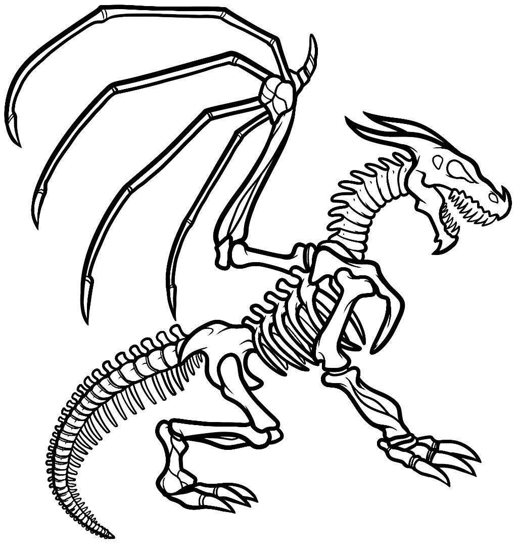 Desenho de dragão para colorir