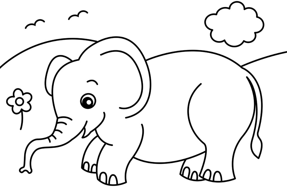 Imagem de elefante para pintar