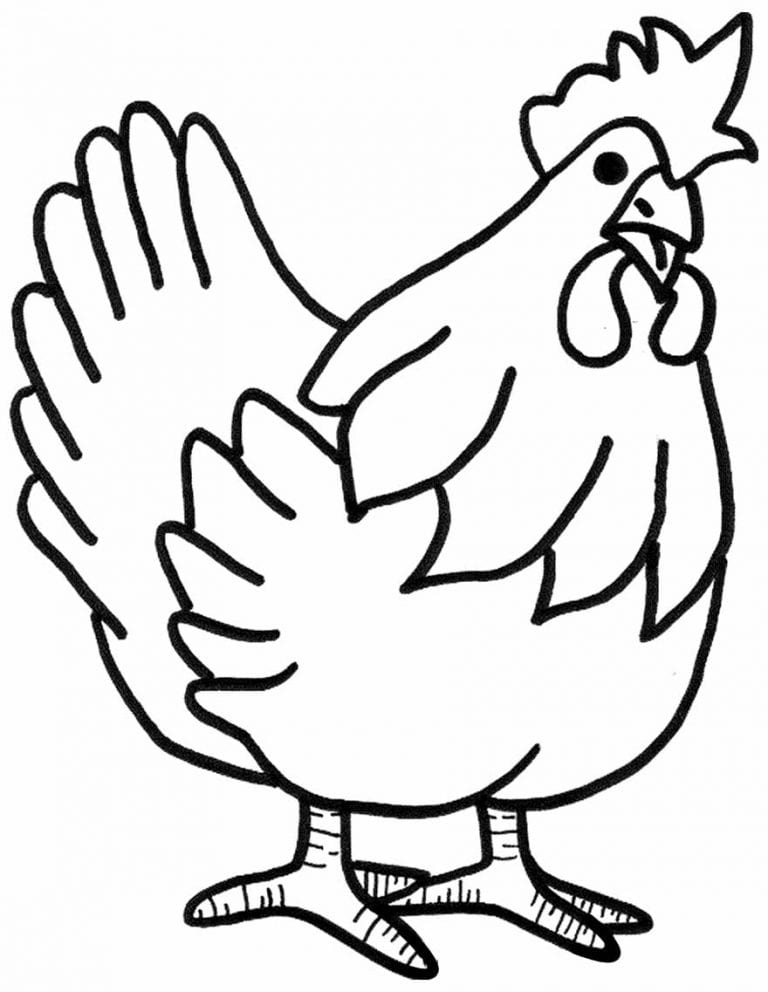 30+ Desenhos de Galinha para colorir - Como fazer em casa