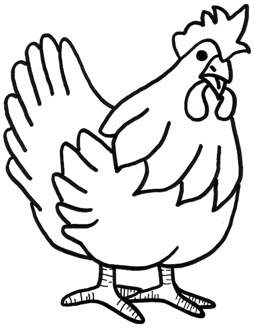 Imagem de galinha para colorir