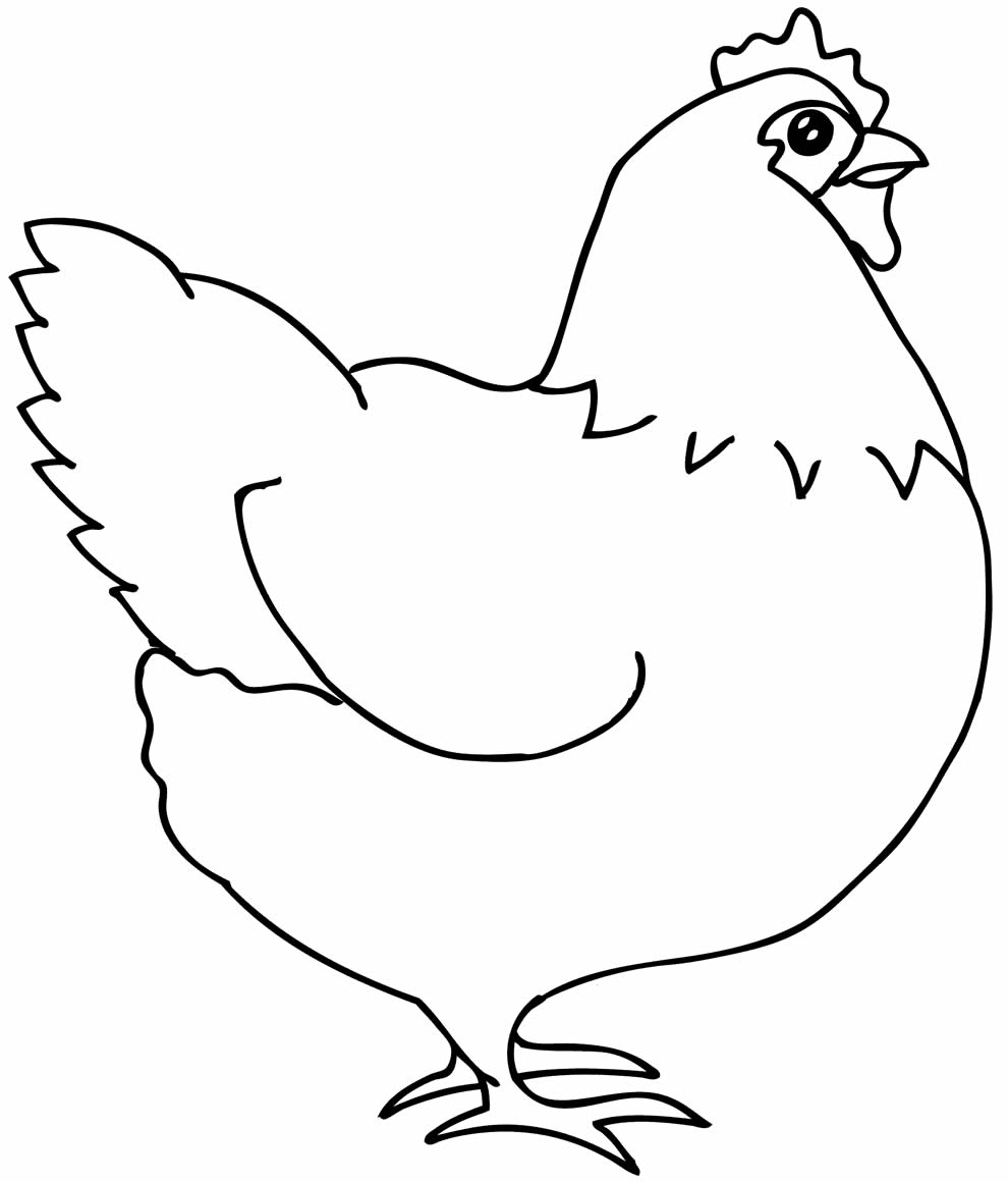 Imagem de galinha para pintar