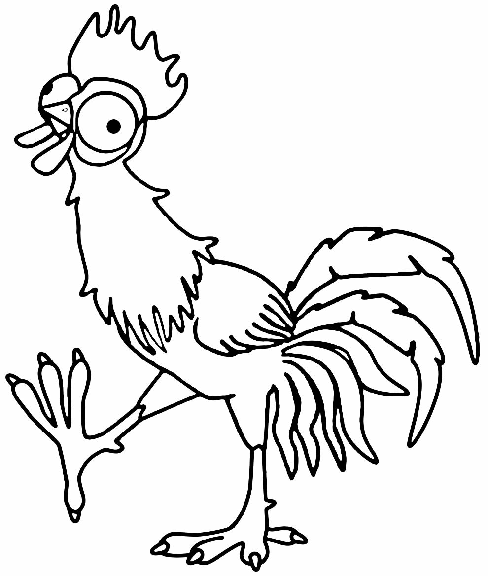 Desenho de galinha para pintar