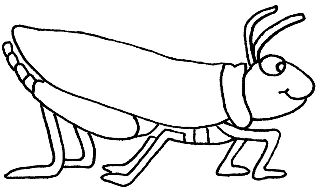 Imagem de inseto para colorir