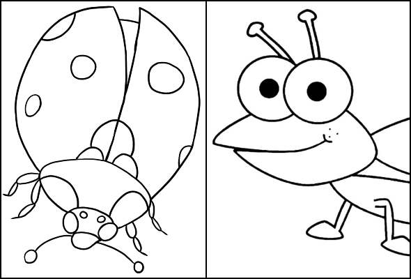 Desenhos para colorir de insetos