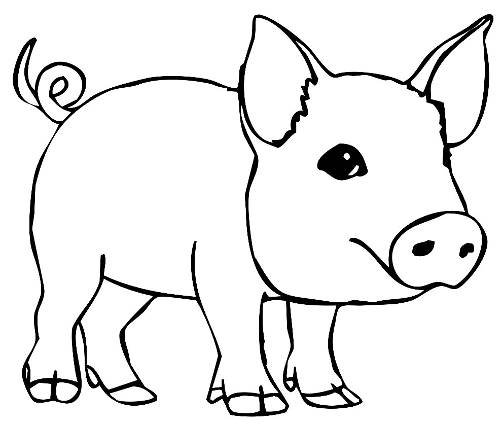 Desenho porquinho para colorir