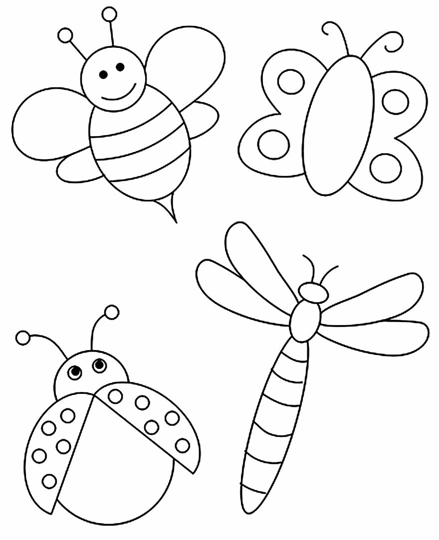 Desenho de insetos para colorir